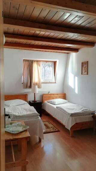 Фермерские дома Pensiunea Amo Вэлени-де-Мунте Двухместный номер с 2 отдельными кроватями и общей ванной комнатой-4